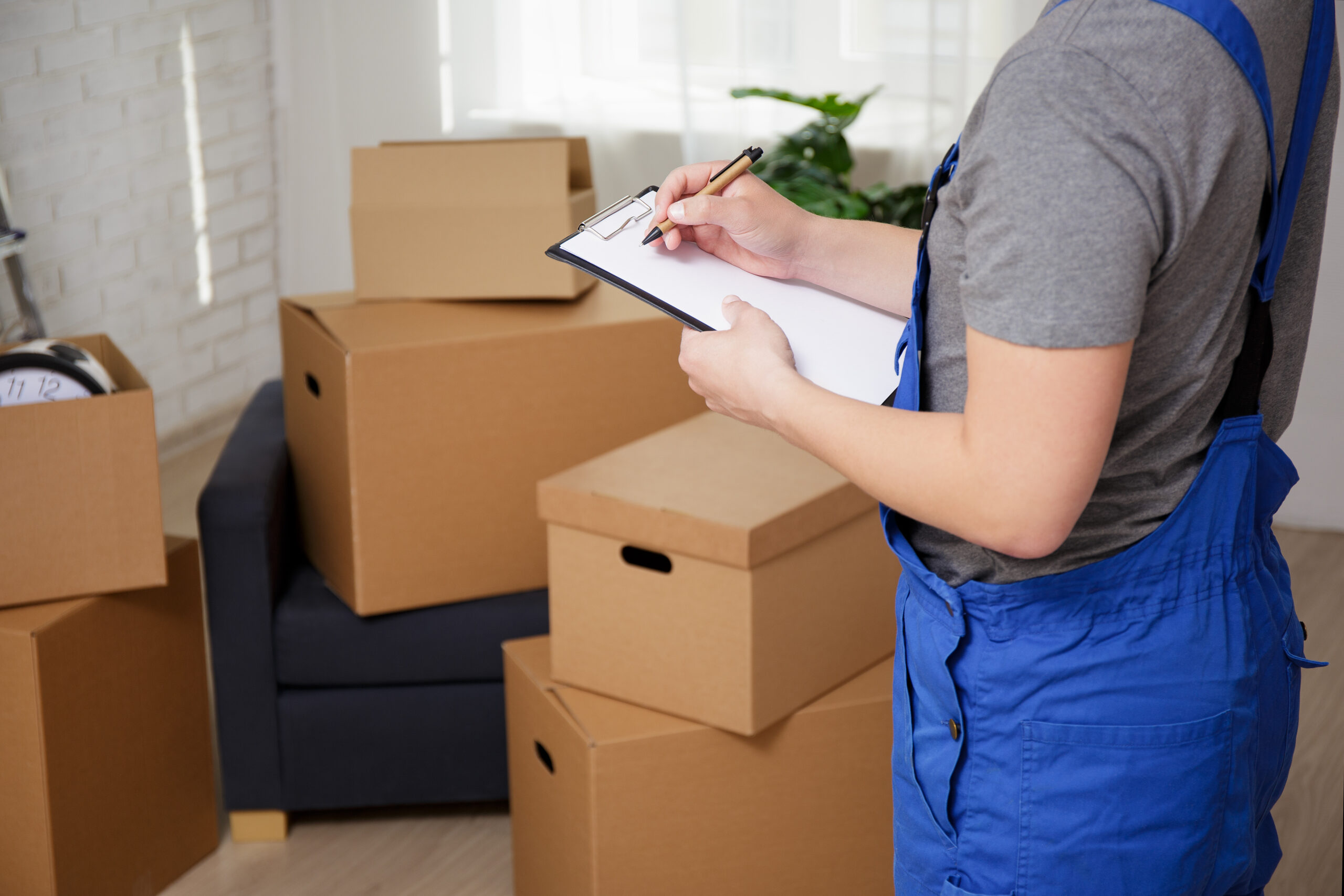 Expert Removals in Brighton
